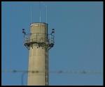 Nuclear Plant